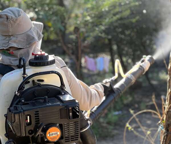 Dengue: la fumigación es una medida cada vez menos efectiva - Nacionales - ABC Color