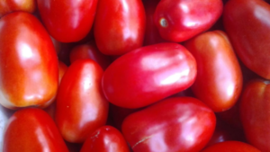 Ante menor oferta, precio del tomate se dispara en un mes
