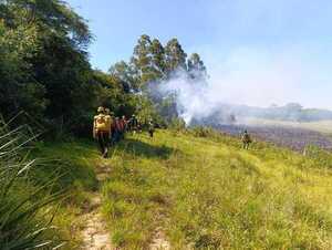 Buscan a responsables de incendios en zona de Ecovía Luque - San Bernardino - 1000 Noticias