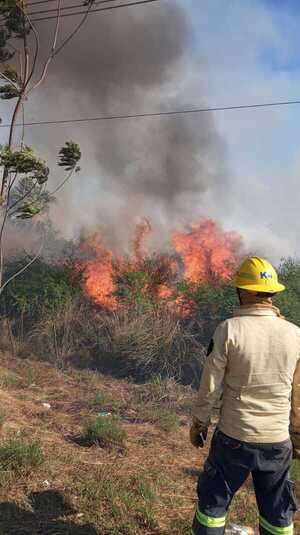 Petardos podrían haber reavivado incendios en ruta Luque-Sanber - Portal Digital Cáritas Universidad Católica
