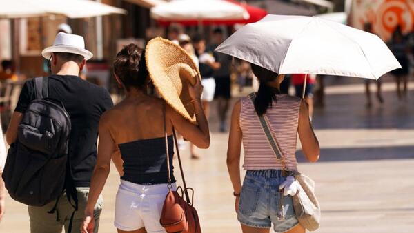 Dermatóloga aconseja elegir el protector solar ideal según tu tipo de piel » San Lorenzo PY