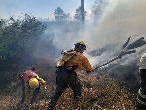 Incendios intencionales devastan 50 hectáreas en Ecovía Luque-San Bernardino - ADN Digital