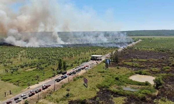 Unas 50 hectáreas afectadas por incendio de ayer en San Bernardino – Prensa 5