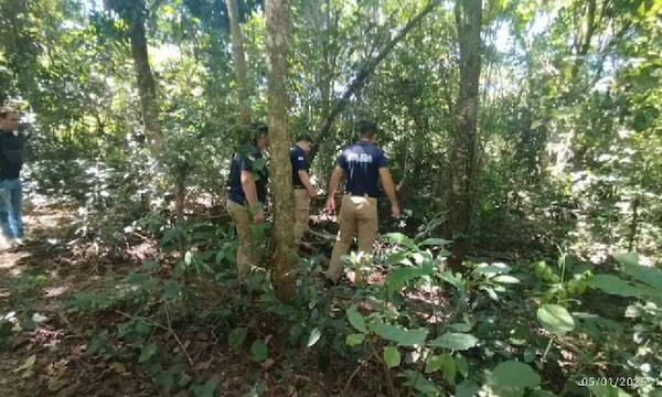 Hombre muere aplastado por un árbol mientras buscaba leña – Prensa 5