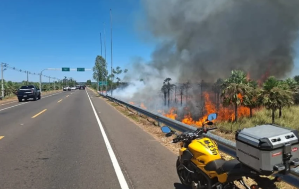 Incendios forestales consumen más de 40 hectáreas en la Ecovía