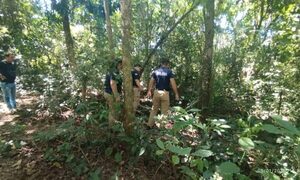 Karái murió aplastado por una rama cortando leña cerca de su casa