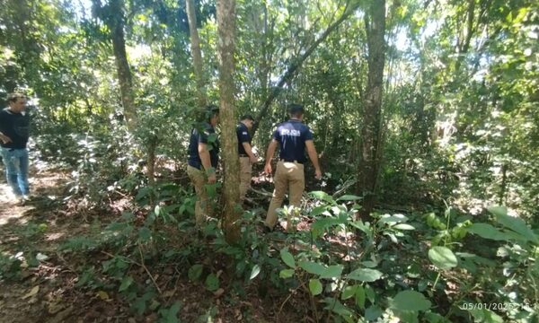 Karái murió aplastado por una rama cortando leña cerca de su casa
