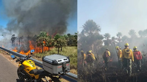 Incendios en la Ecovía devoran 45 hectáreas