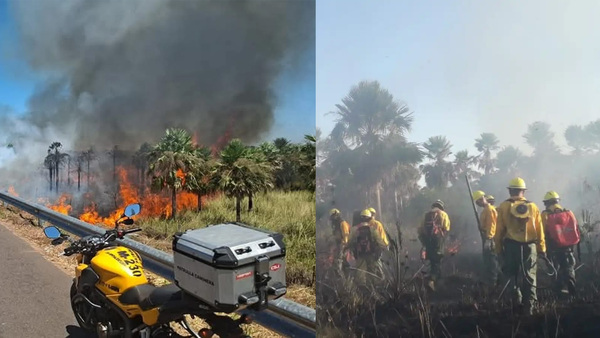 Incendios en la Ecovía devoran 45 hectáreas