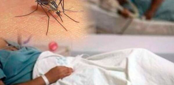 Autoridades sanitarias piden consulta temprana ante síntomas del dengue