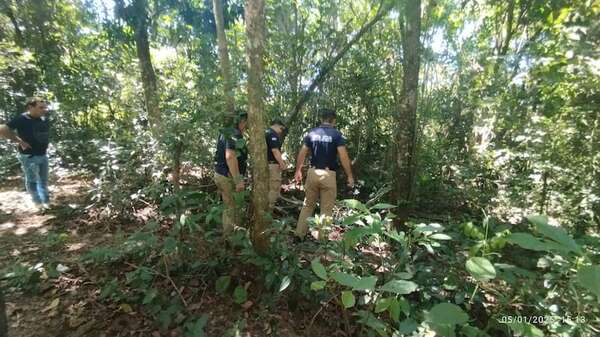Sexagenario murió aplastado por un árbol mientras buscaba leña - Policiales - ABC Color