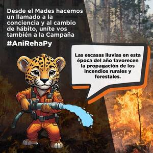 Advierten sobre riesgos de quemazones deliberadas - 1000 Noticias