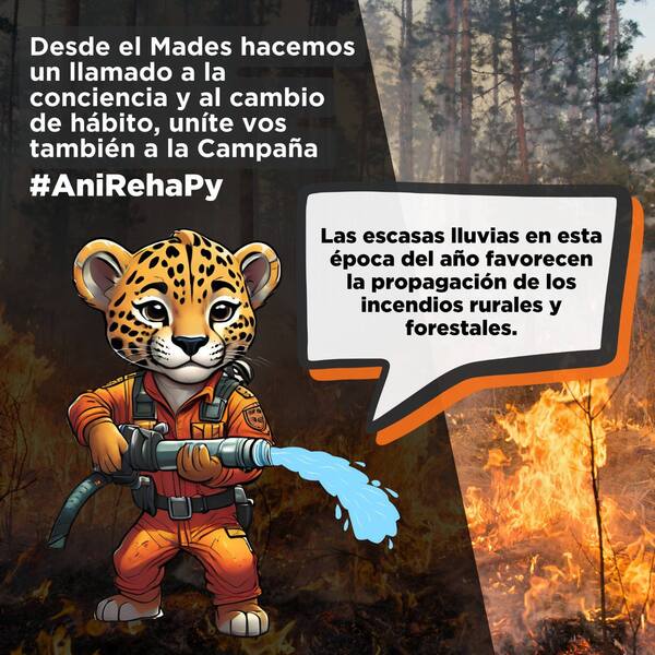 Advierten sobre riesgos de quemazones deliberadas - 1000 Noticias