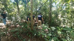 Hombre de 67 años falleció aplastado por un árbol en Alto Verá - Unicanal