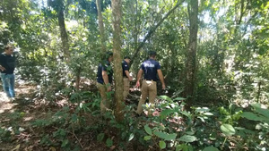 Trágico accidente cobra vida de hombre