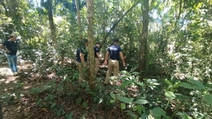 Sexagenario murió aplastado por un árbol mientras buscaba leña - Noticiero Paraguay