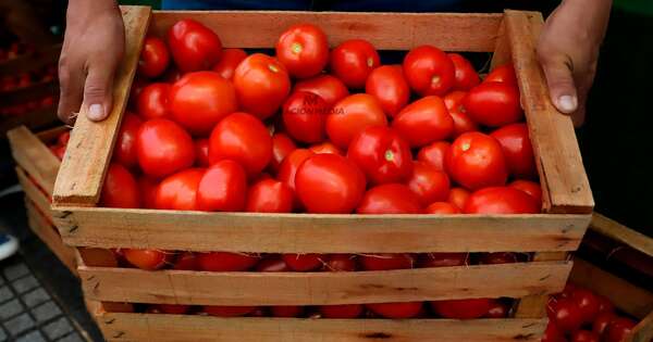 La Nación / Precio del tomate se disparó en los últimos días