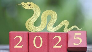 Horóscopo chino: el año de la Serpiente de Madera