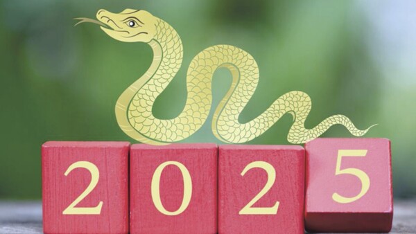 Horóscopo chino: el año de la Serpiente de Madera