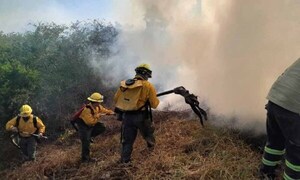 Infona registra más de 600 focos de calor y 60 fuegos activos en lo que va del año – Prensa 5
