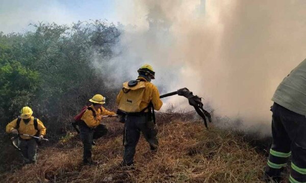 Infona registra más de 600 focos de calor y 60 fuegos activos en lo que va del año – Prensa 5