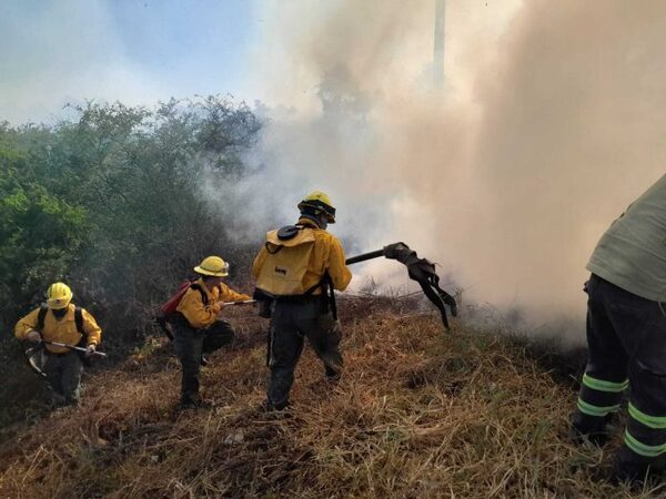 Infona registra más de 600 focos de calor y 60 fuegos activos en lo que va del año