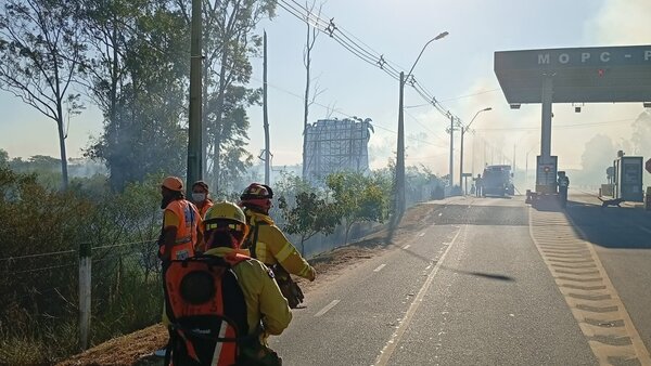 Cantidad de incendios forestales genera preocupación: ¿Cuáles son las zonas más afectadas?