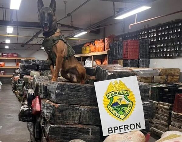 Uno de los principales puntos de ingreso de marihuana al Brasil, es la zona de Puerto Indio – Diario TNPRESS