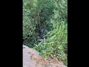 Motociclista fallece tras chocar contra baranda de hormigón - 1000 Noticias