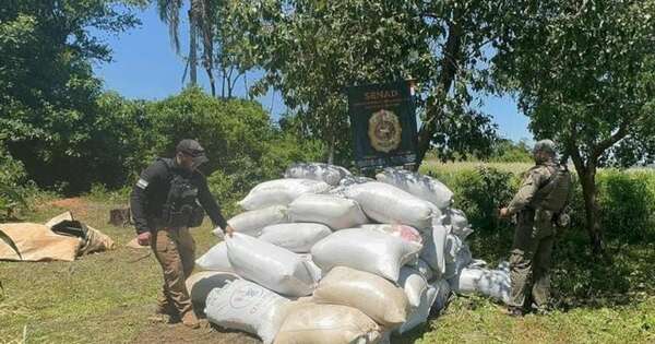 Diario HOY | Nuevo golpe de la SENAD en Canindeyú: incautan más de 7 toneladas de marihuana
