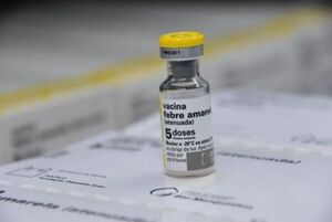 Disponibilidad de vacunas contra la Fiebre Amarilla en Itapúa para viajeros