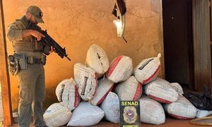 Senad incauta más de 7 toneladas de marihuana y captura a 4 personas en Canindeyú