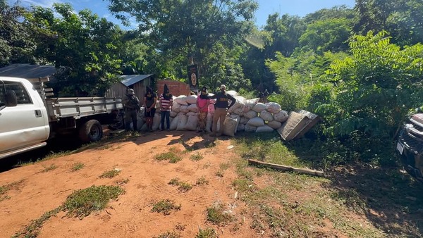 Incautan siete toneladas de marihuana y detienen a cuatro personas en Canindeyú - 1000 Noticias
