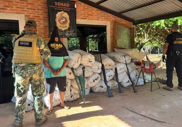 Canindeyú: incautan más de 7 toneladas de marihuana; hay 4 detenidos - ADN Digital