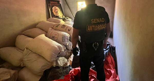 La Nación / Maracaná: incautan más de 7 toneladas de marihuana y detienen a 4 personas