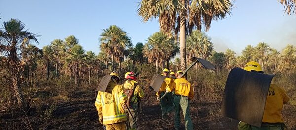 Incendios forestales afectan más de 2.800 hectáreas en Paraguay en lo que va de enero