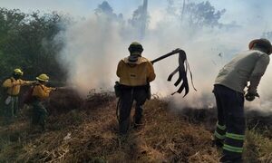 Calidad del aire se mantiene estable pese a los incendios forestales, según el Mades