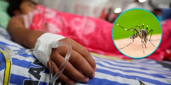Casi 4 mil sospechas de dengue en IPS durante diciembre - ADN Digital