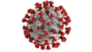 Metapneumovirus humano o HMPV: ¿Podría llegar al país? ¿cuáles son los recaudaos a tomar?
