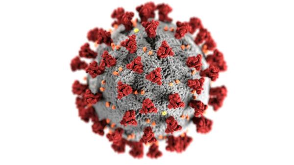 Metapneumovirus humano o HMPV: ¿Podría llegar al país? ¿cuáles son los recaudaos a tomar?