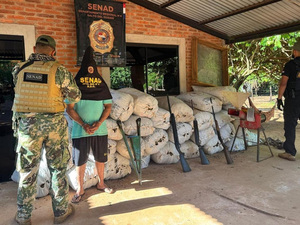 SENAD incauta más de 7 toneladas de marihuana en Canindeyú