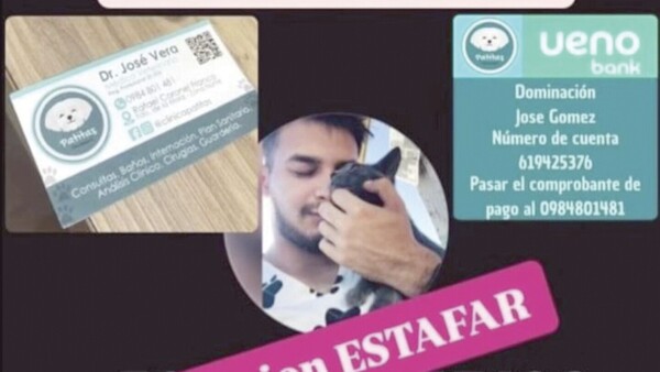 Veterinario mau ya mató a 200 mascotas