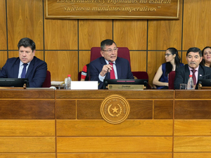 Santiago Peña promulga Ley Mipyme impulsada por el senador Pettengill