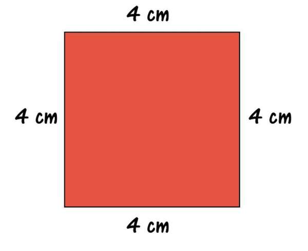 ¡Vamos a medir! - Matemática Primer Ciclo - ABC Color