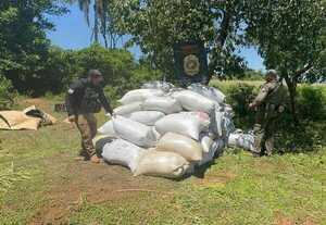 SENAD incautó más de 7 toneladas de marihuana y capturó a 4 personas - trece