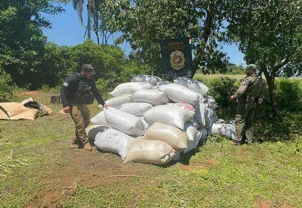 SENAD incautó más de 7 toneladas de marihuana y capturó a 4 personas - trece