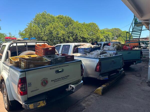 DECOMISAN PRODUCTOS FRUTIHORTÍCOLAS EN OPERATIVO DE CONTROL EN SAN PEDRO Y OBLIGADO - Itapúa Noticias