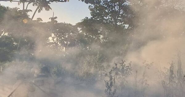 La Nación / Incendios arrecian y bombera pide conciencia sobre quema y predios sucios