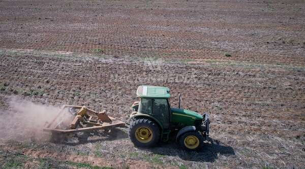 No habrá lluvias hasta febrero y alertan de una sequía severa - Noticiero Paraguay