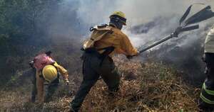 La Nación / Infona reporta 43 fuegos activos que afectan a bosques y áreas silvestre protegidas
